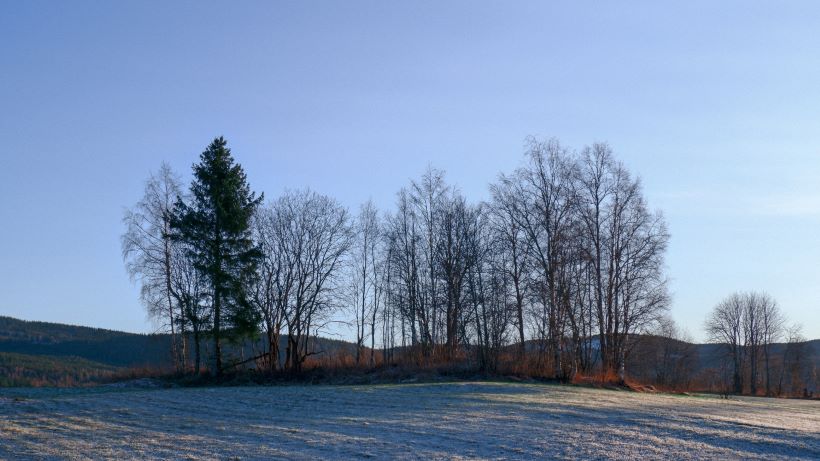 appraiser Hurdal