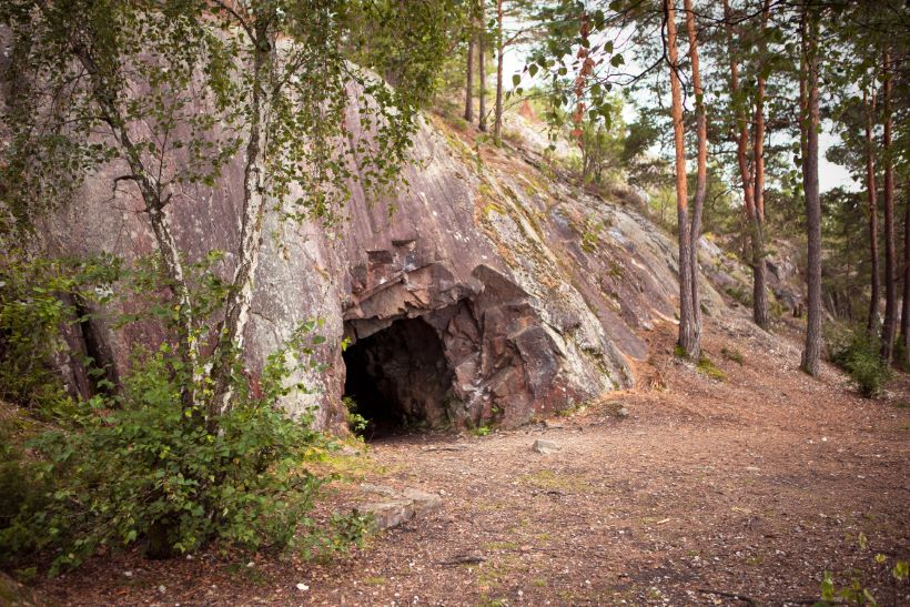 appraiser Nesodden