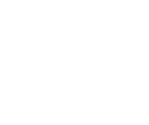 nt logo medlem hvit rgb
